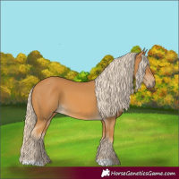 Horse Color:Palomino 