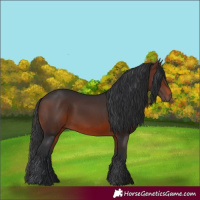 Horse Color:Brown 