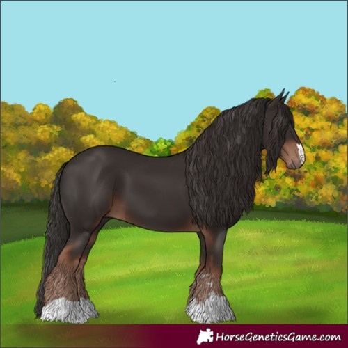 Horse Color:Liver Chestnut 