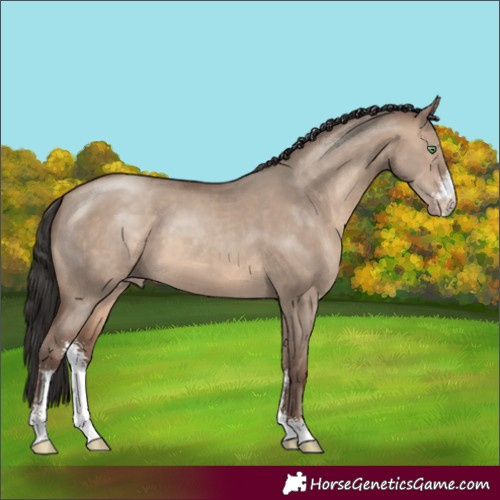 Horse Color:Sable Champagne Dun Sabino