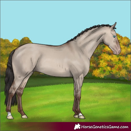 Horse Color:Sable Champagne Dun 