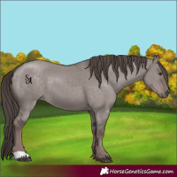 Horse Color:Platinum Liver Red Dun