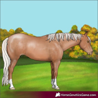 Horse Color:Silver Brown Pearl