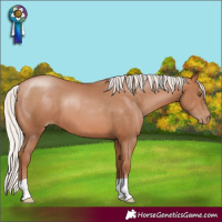 Horse Color:Silver Brown Pearl