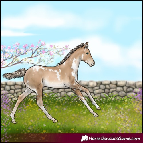 Horse Color:White Spotted Chocolate Palomino Pearl 