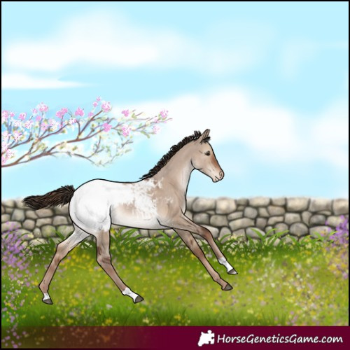 Horse Color:Liver Red Dun Snowcap 