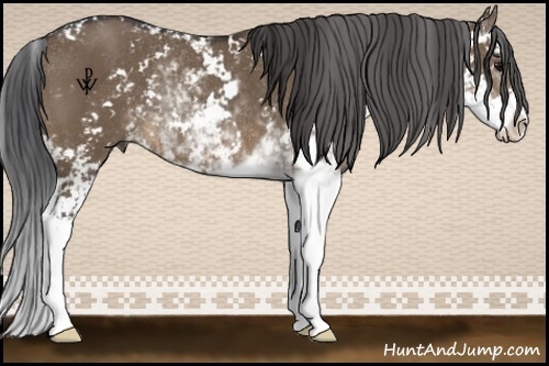 Horse Color:Brown Dun Sabino Rabicano 
