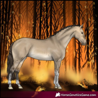 Horse Color:Buckskin Dun Tobiano Rabicano 