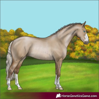 Horse Color:Gray Silver Smoky Grullo Pearl Rabicano