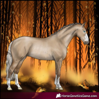Horse Color:Gray Silver Smoky Grullo Snowdrop Rabicano 