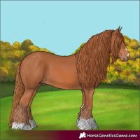 Horse Color:Chestnut 