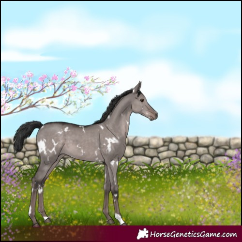 Horse Color:Platinum White Spotted Liver Red Dun 