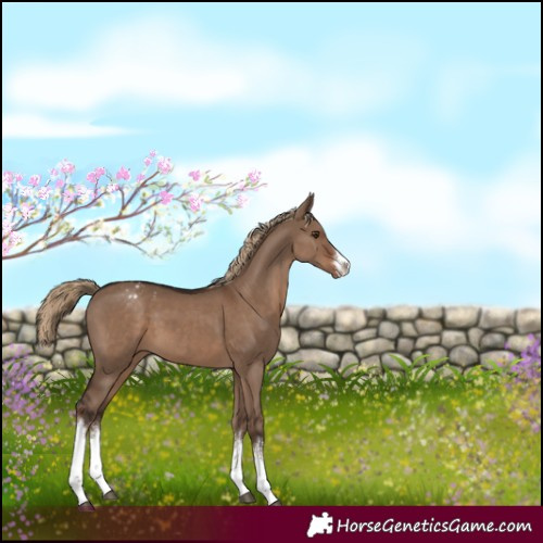 Horse Color:White Spotted Liver Red Dun Varnish 