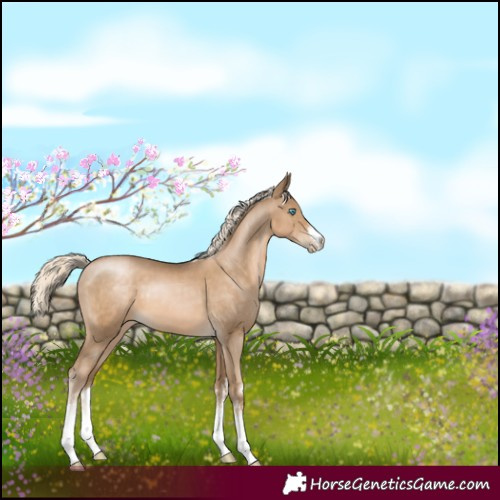 Horse Color:White Spotted Chocolate Palomino Pearl 