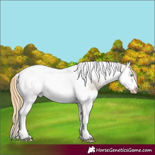 Horse Color:Buckskin Roan Dun Mushroom Splash Tobiano Frame Appaloosa 