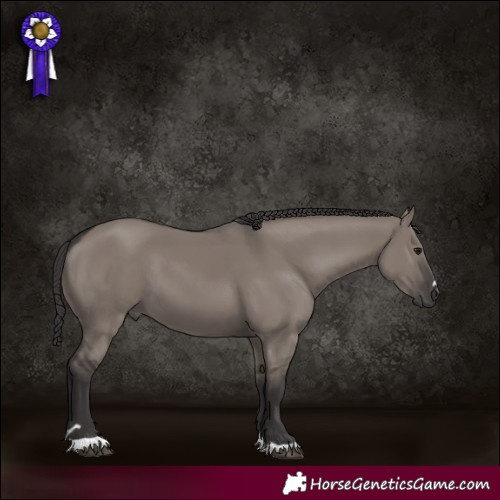Horse Color:Smoky Grullo Mushroom