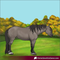 Horse Color:Smoky Grullo Mushroom 