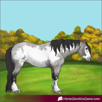 Horse Color:Grullo Roan Mushroom Frame 