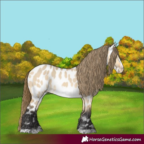 Horse Color:Buckskin Dun Frame Near Leopard 