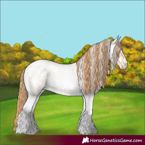 Horse Color:Smoky Grullo Roan Pearl Tobiano Appaloosa