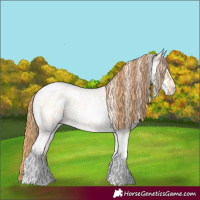 Horse Color:Smoky Grullo Roan Pearl Tobiano Appaloosa