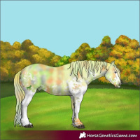 Horse Color:Nacre Liver Red Dun Chinchilla Sabino Splash Brindle