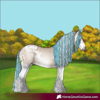 Horse Color:Gray Painted White Spotted Silver Bay Dun Splash Appaloosa 