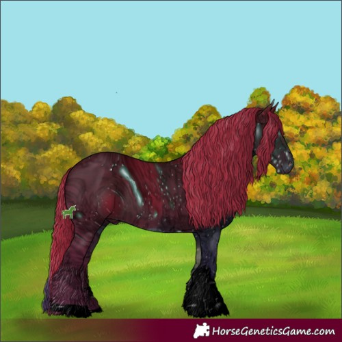 Horse Color:ERROR: UNKNOWN ANOMALY