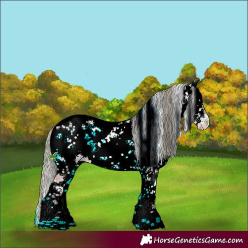 Horse Color:Liver Red Onyx Ice Mushroom Sabino 