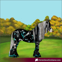 Horse Color:Liver Red Onyx Ice Mushroom Sabino