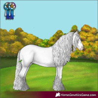Horse Color:Liver Chestnut Chinchilla Sabino Rabicano