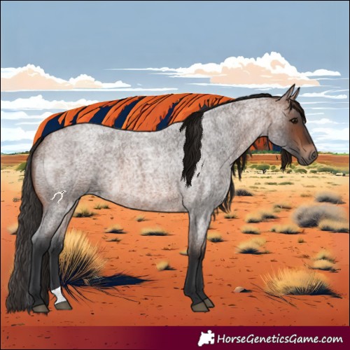 Horse Color:Brown Roan 