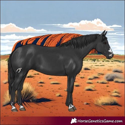 Horse Color:Black 