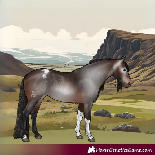 Horse Color:Gray Bay Tobiano Varnish 