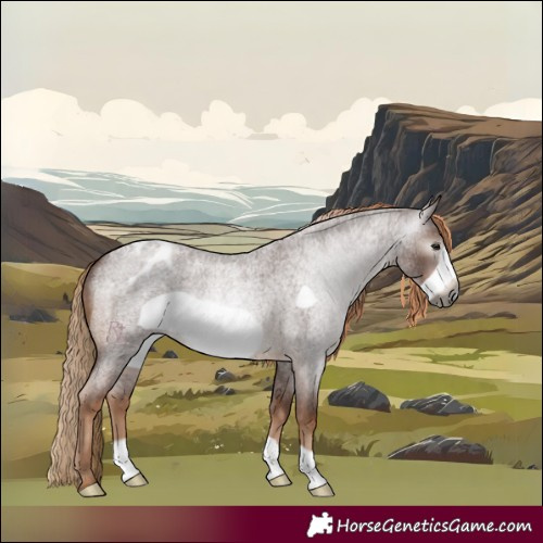 Horse Color:Gray Red Roan Frame Blanket 