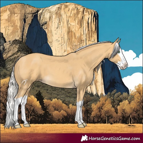 Horse Color:Silver Amber Cream Champagne Splash 
