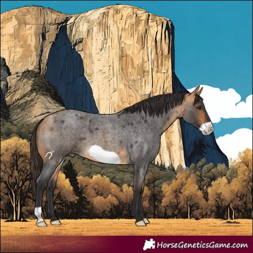 Horse Color:Buckskin Roan Frame 