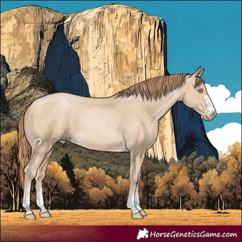 Horse Color:Buckskin Pearl 