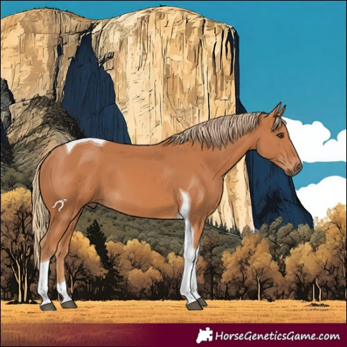 Horse Color:Chestnut Tobiano 