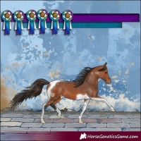 Horse Color:Bay Tobiano Varnish 
