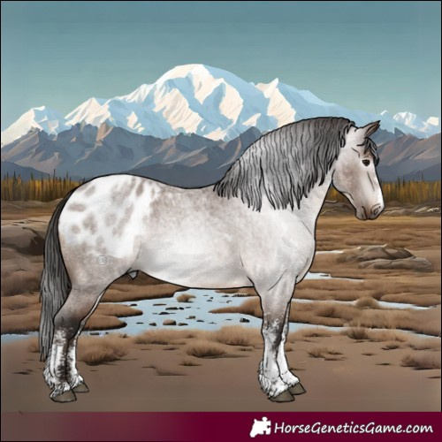 Horse Color:Gray White Spotted Bay Roan Appaloosa Rabicano 