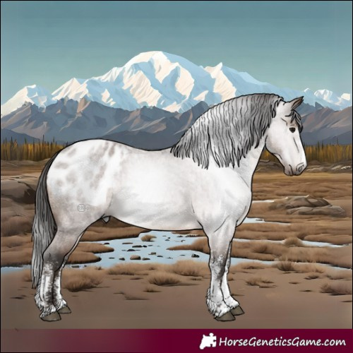 Horse Color:Gray White Spotted Bay Roan Appaloosa Rabicano 