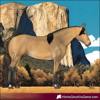 Horse Color:Buckskin
