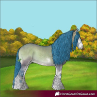 Horse Color:Watercolor White Spotted Brown Onyx