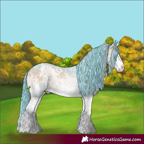 Horse Color:Watercolor White Spotted Blue Onyx Ice Sabino Appaloosa