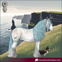 Horse Color:Watercolor White Spotted Blue Onyx Ice Sabino Appaloosa