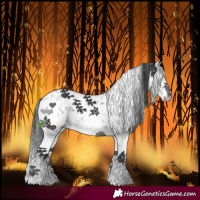 Horse Color:White Spotted Black Sabino