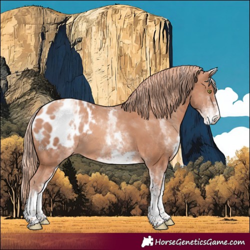 Horse Color:White Spotted Gold Champagne Appaloosa 