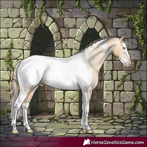 Horse Color:Amber Cream Champagne Splash Tobiano Appaloosa 