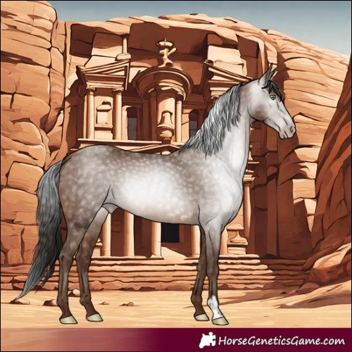 Horse Color:Gray Sable Champagne 